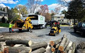 Best Organic Lawn Care Solutions  in Winfield, TN