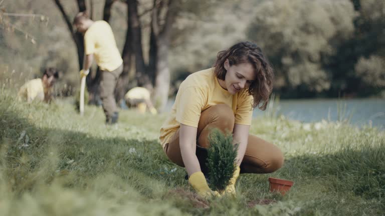 Best Lawn Maintenance Plans  in Winfield, TN